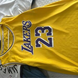 Lebron James Lakers 23